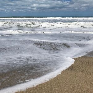 Meet your Posher, Noreen